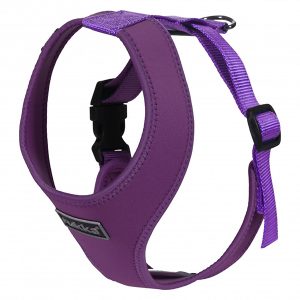 Rukka Comfort Mini Harness Violet