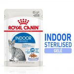 Royal Canin Indoor Sterilised gelé - 96 x 85 g