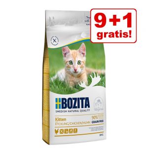 9 + 1 på köpet! 10 kg Bozita Feline kattfoder Indoor & Sterilised Ren Grainfree