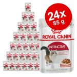 Blandat ekonomipack: 24 x 85 g Royal Canin gelé & sås - Instinctive i sås och gelé