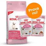 Blandat provpack: Royal Canin Kitten + 24 x 85 g våtfoder - Maine Coon Kitten (4 kg + 24 x 85 g våtfoder)