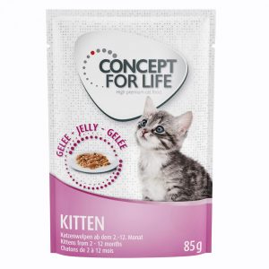 Concept for Life Kitten - i gelé - 12 x 85 g