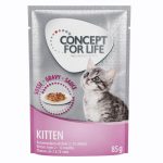 Concept for Life Kitten - i sås - 12 x 85 g