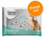 Concept for Life provpack - 4 x 85 g - All Cats