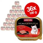 Ekonomipack: Animonda vom Feinsten Kitten 36 x 100 g - Nötkött