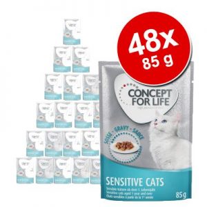 Ekonomipack: Concept for Life 48 x 85 g - Sterilised Cats i gelé