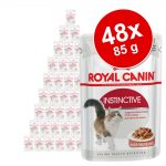 Ekonomipack: Royal Canin våtfoder 48 x 85 g - Blandpack Intense Beauty: 24 x 85 g sås + 24 x 85 g gelé