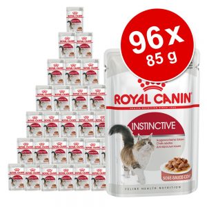 Ekonomipack: Royal Canin våtfoder 96 x 85 g - Breed British Shorthair i sås