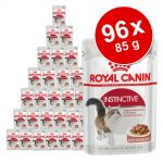 Ekonomipack: Royal Canin våtfoder 96 x 85 g - Instinctive i gelé