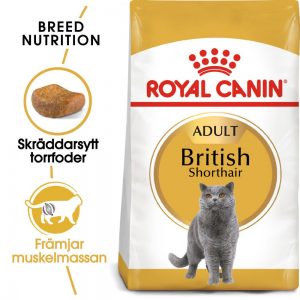Royal Canin British Shorthair Adult - 4 kg