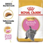 Royal Canin British Shorthair Kitten - Ekonomipack: 2 x 10 kg