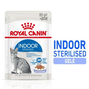 Royal Canin Indoor Sterilised gelé - 12 x 85 g