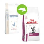 Royal Canin Veterinary Diet Feline Renal - 4 kg